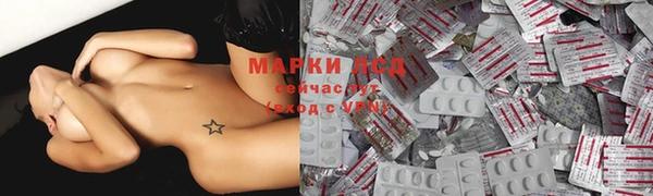 MESCALINE Аркадак