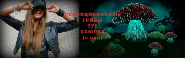 MESCALINE Аркадак
