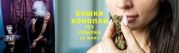 соль ск Зеленодольск