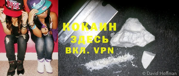 индика Аша