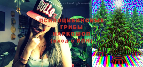 спайс Арсеньев